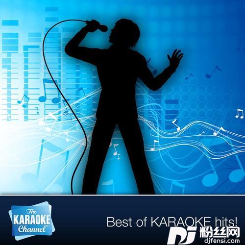 ChopSuey![IntheStyleofSystemOfADown]KaraokeLeadVocalVersion的专辑