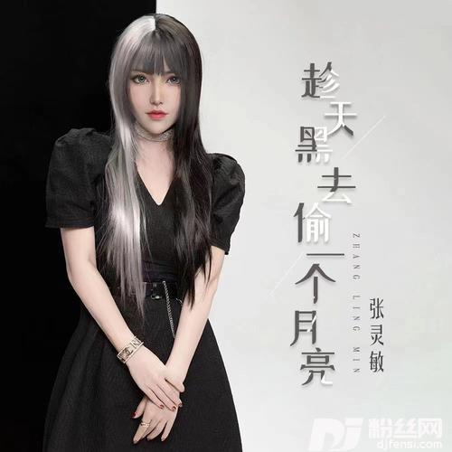 趁天黑去偷一个月亮的专辑