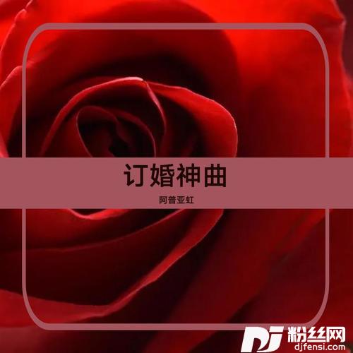 订婚神曲（SingleVersion）其他