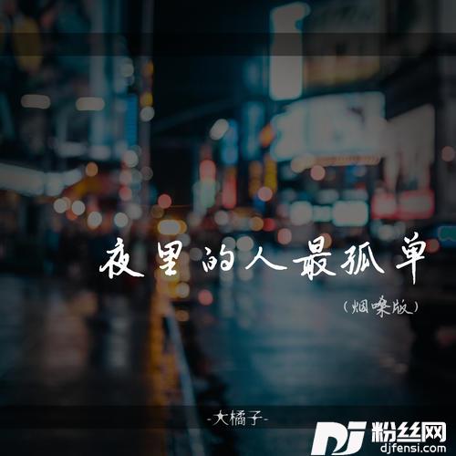 夜里的人最孤独DJ默涵版