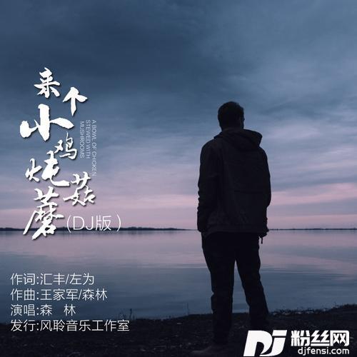 来个小鸡炖蘑菇（DJ版）