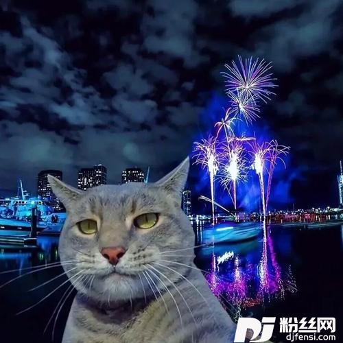 可不可以cover:黑崎子的专辑