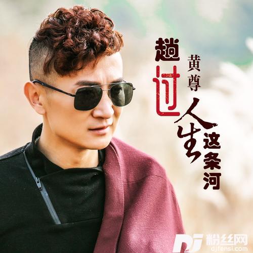 趟过人生这条河DJ何鹏版