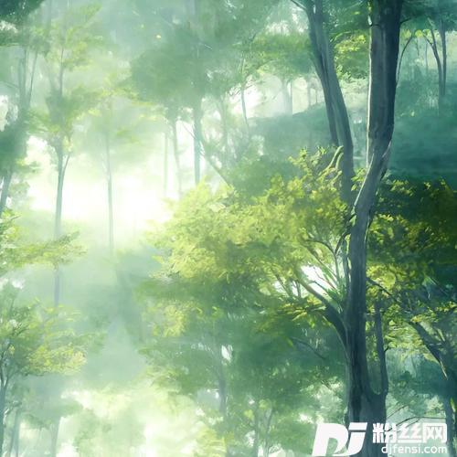 空山新雨后cover:黑猫