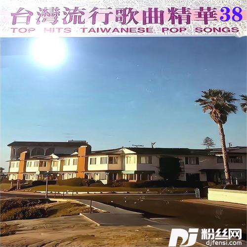 爱你不后悔的专辑