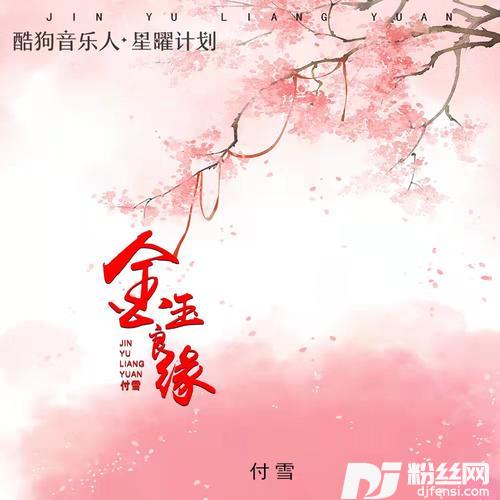 金玉良缘DJR7版的专辑