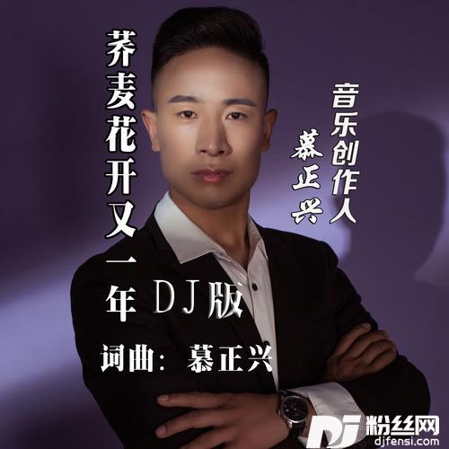 荞麦花开又一年DJ版