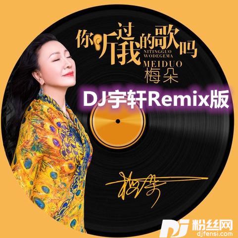 你听过我的歌吗DJ宇轩Remix水兵舞版