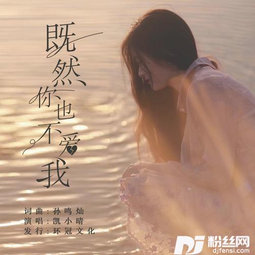 既然你已不爱我DJ彭锐版