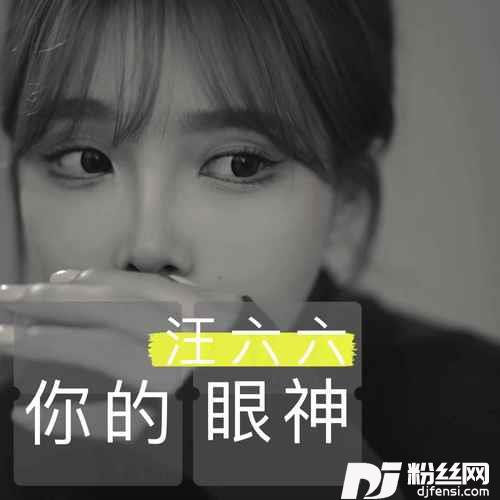 你的眼神汪六六版