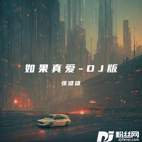 如果真爱DJ版