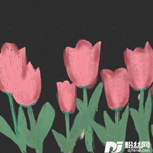 郁金香的专辑