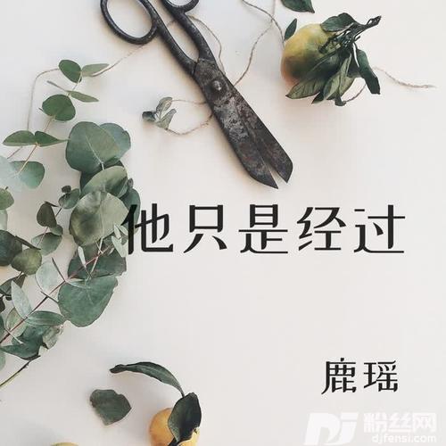 他只是经过女生版的专辑