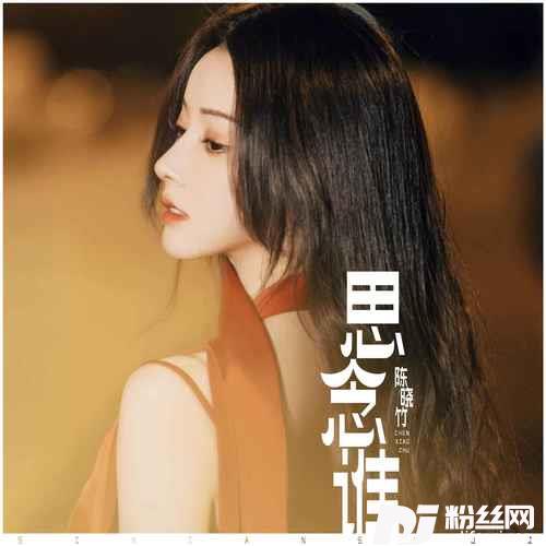 思念谁柔情版