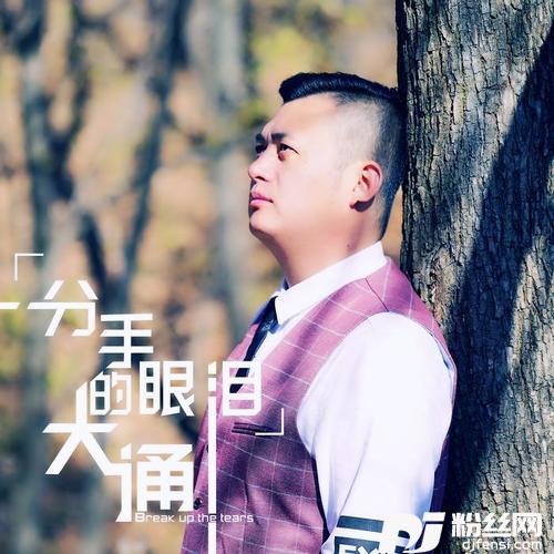 分手的眼泪的专辑