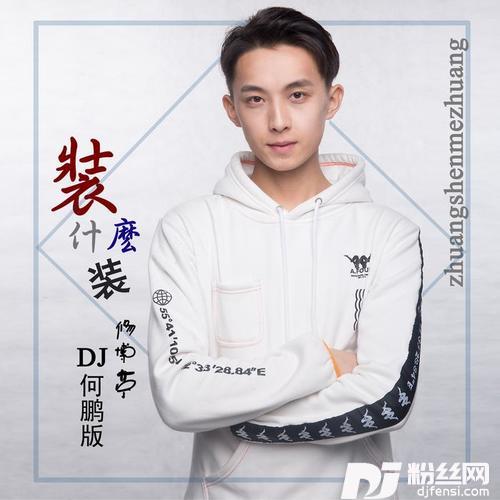 装什么装（DJ何鹏版）