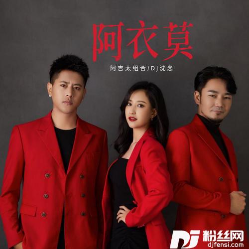 阿衣莫DJ沈念版