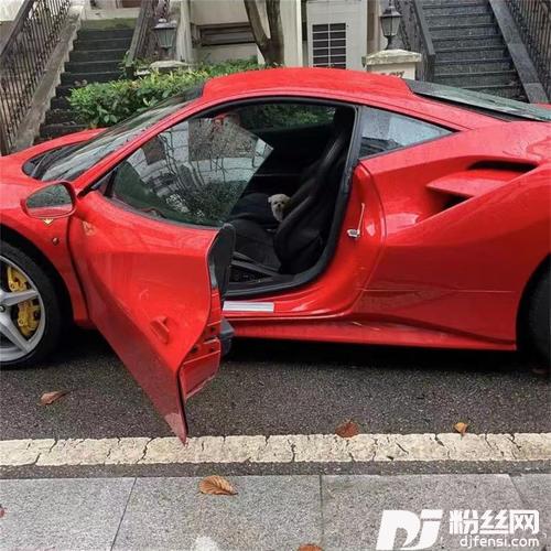 后来者居上DJ版