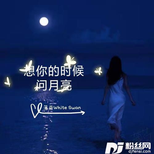 想你的时候问月亮cover:宋小娟