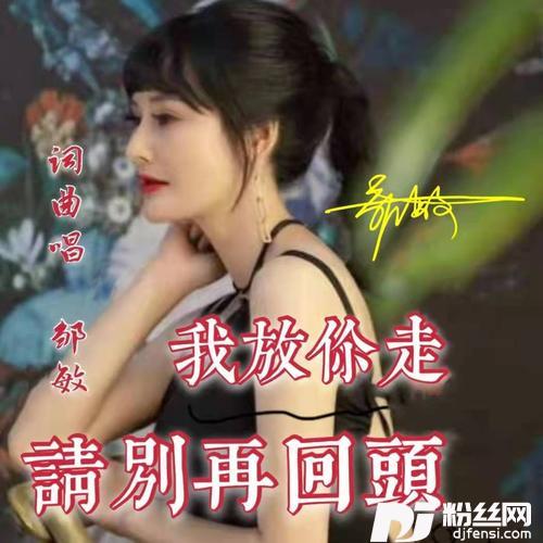 我放你走请别再回头（女版）的专辑