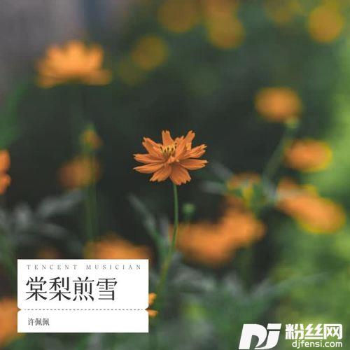 棠梨煎雪cover:林泽友