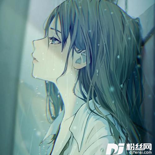 车载抖音DJ版