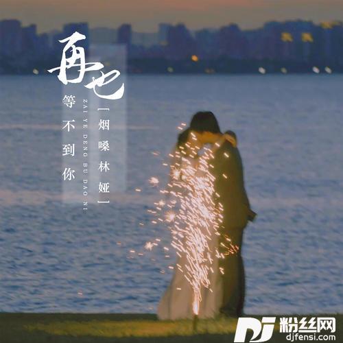 再也等不到你