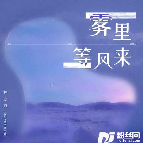 雾里等风来