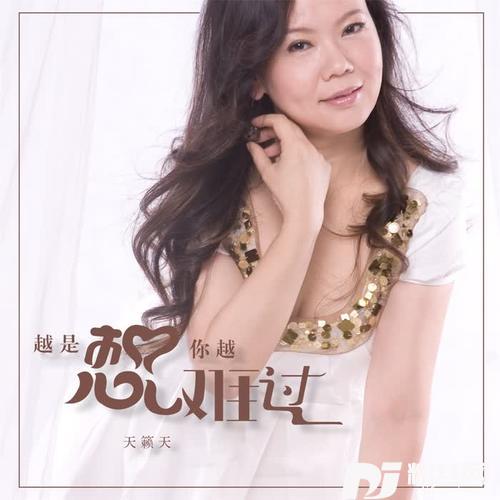越是想你越难过DJ版
