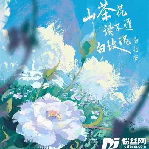 山茶花读不懂白玫瑰烟嗓版的专辑
