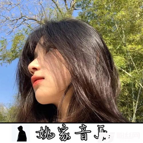 最炫民族风（热搜DJ版）Demo