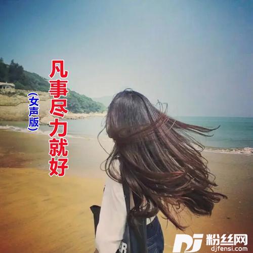 凡事尽力就好DJ