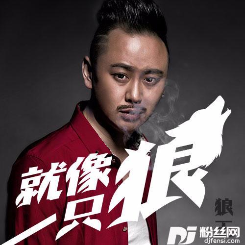 就像一只狼DJ小鱼儿版的专辑