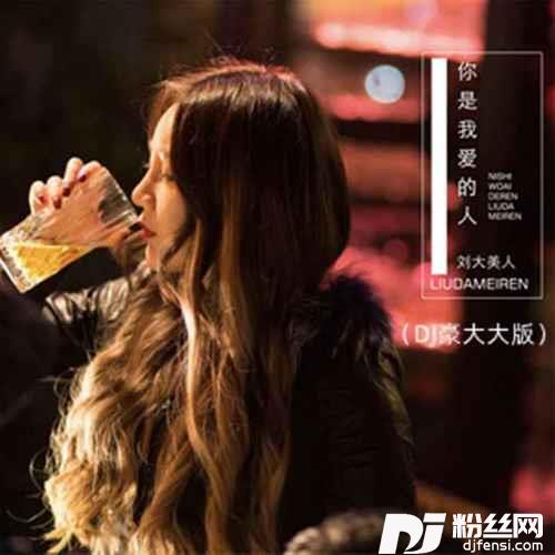 你是我爱的人DJ豪大大版