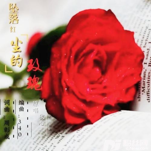 坠落红尘的玫瑰