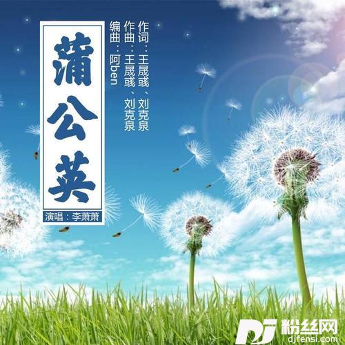 蒲公英