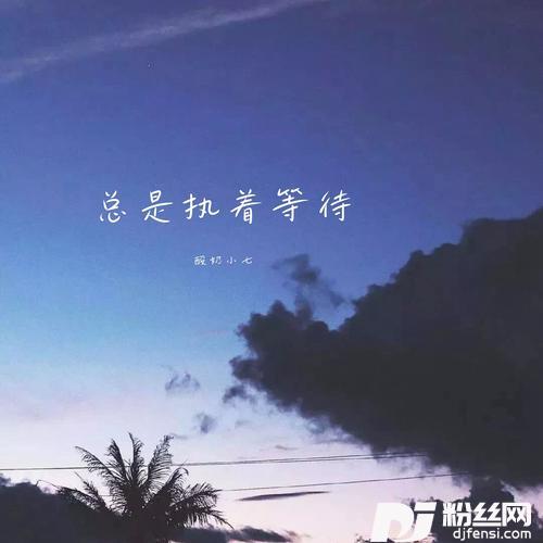 我一直在等的专辑