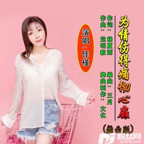 为情伤得痛彻心扉舞曲版