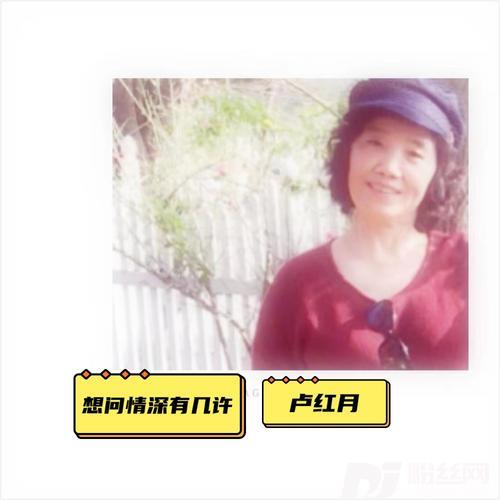 想问情深有几许