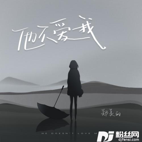 他不爱我的专辑