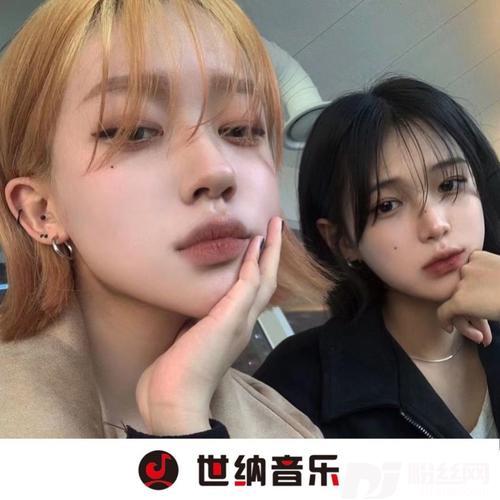沈园外（烟嗓版）