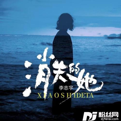 消失的他