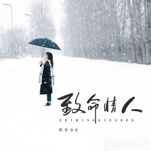 致命情人女声版的专辑