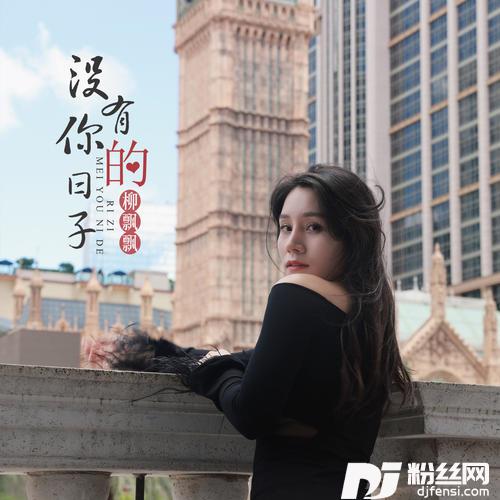 没有你的日子的专辑