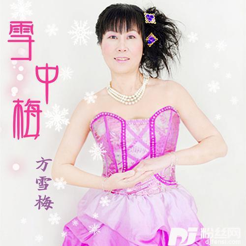 梅花DJ版的专辑