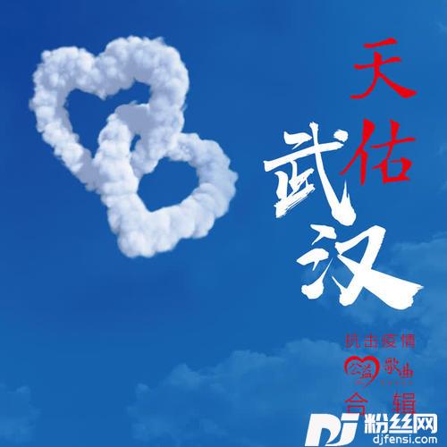 天佑武汉