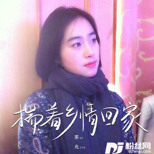 揣着乡情回家
