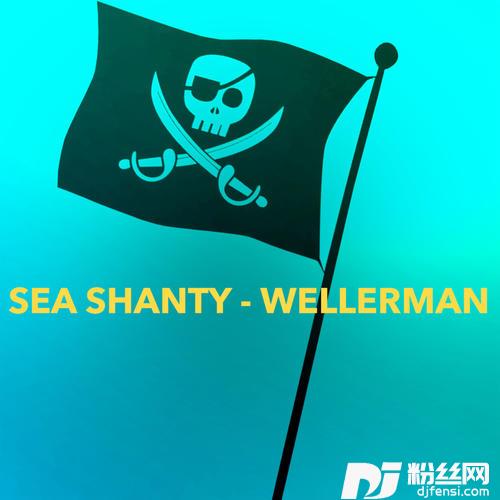WellermanSeaShanty/TheKiffnessRemix的专辑