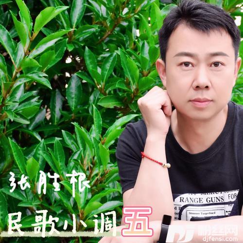 昨夜星辰cover:林淑容