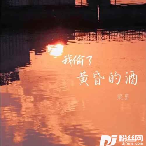 我偷了黄昏的酒DJ版的专辑